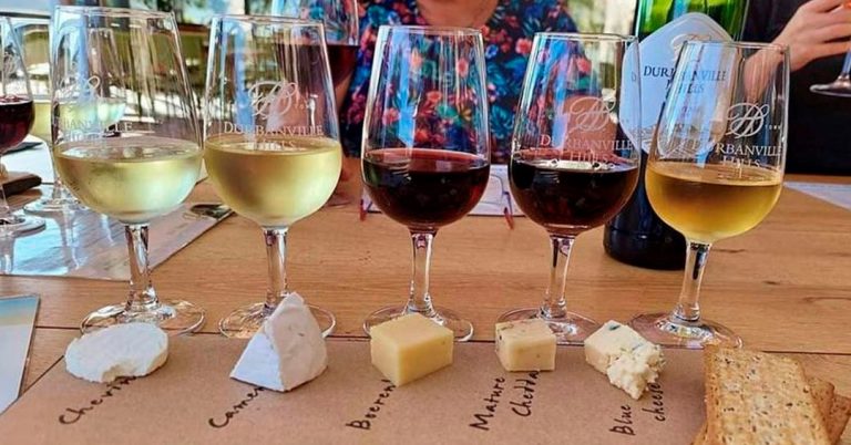 Wine & Cheese Tasting at Durbanville Hills Wine Estate