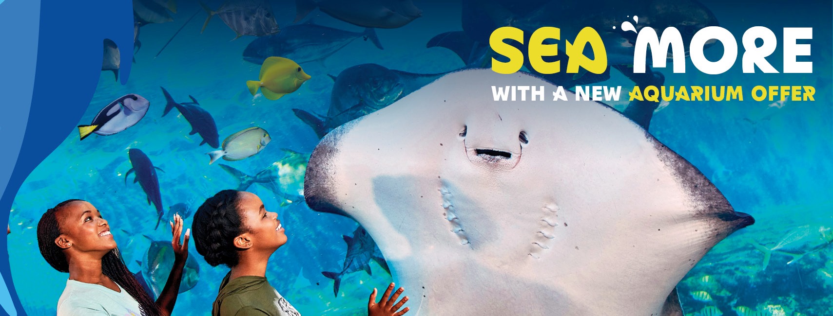 Experience the Shipwreck Aquarium at uShaka Marine World this Month for ...